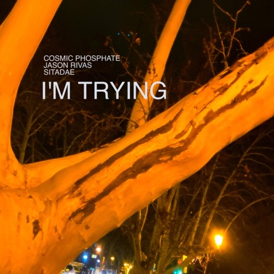 I'm Trying - Single