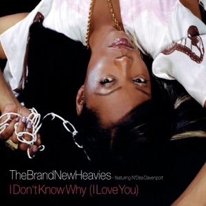 I Don't Know Why (I Love You) - EP