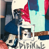 Medicinal - Single - Heavn