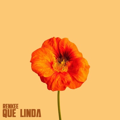 Renkee - que linda