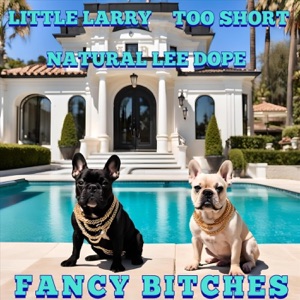Fancy Bitches (feat. Too $hort & Natural Lee Dope)