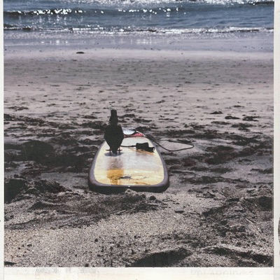 SUMMER NIGHTS IN CALIFORNIA - Single