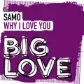 Why I Love You (Extended Mix)