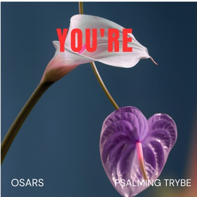 You're - Single