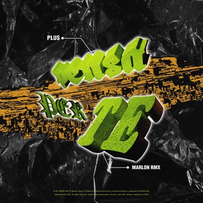 PENSA PER TE RMX - Single