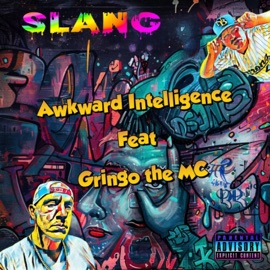 Slang (feat. Gringo the MC) Awkward Intelligence