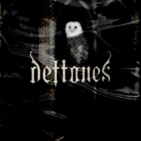 Deftones (feat. Too Young To Die & Kinho) - Single - Lisan