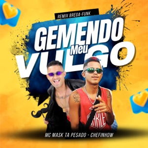 Gemendo Meu Vulgo (Remix Brega Funk)