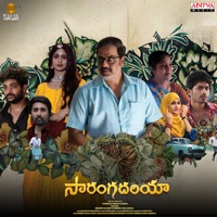 Sarangadhariya (Original Motion Picture Soundtrack) - EP - Rambabu Gosala, Kadali, Danty Jayakumar & Ebenezer Paul