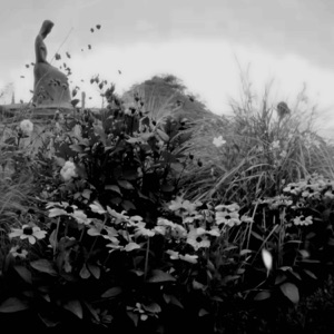 fragile - Single