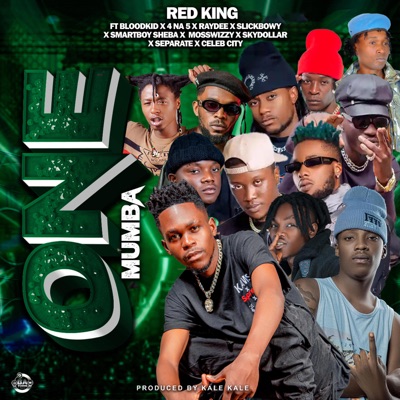 ONE MUMBA (feat. Blood Kid) - Single