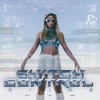 SWITCH CONTROL - Single