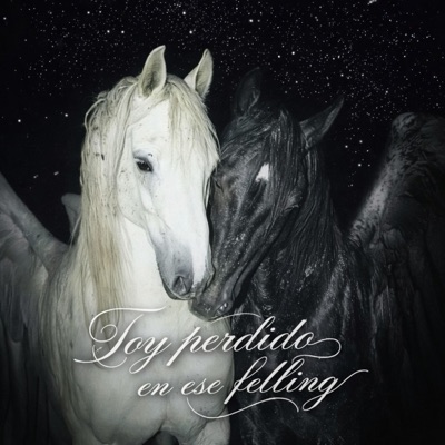 TOY PERDIDO EN ESE FELLING - Single