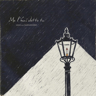 Me l'hai detto tu (feat. chiamamifaro) - Single