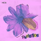 Perfection artwork