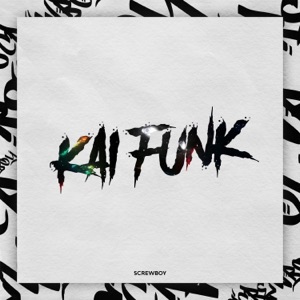 Kai Funk - Single