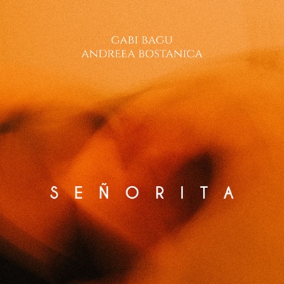 Señorita - Single