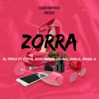 Zorra (feat. YTSY13, Assh Muñoz, Leving, Khalo & Angel D) - Single - El Tekko