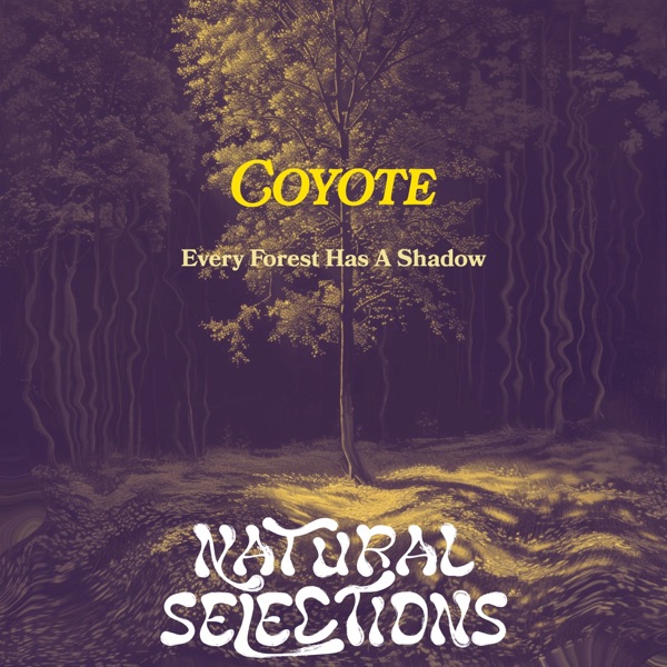Every Forest Has a Shadow - EP