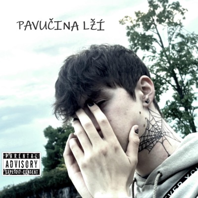 Pavučina lží - Single