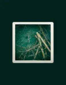 Posłuchaj wykonawcy NO-LING, obejrzyj teledyski, przeczytaj biografię, zobacz daty tras koncertowych i nie tylko!