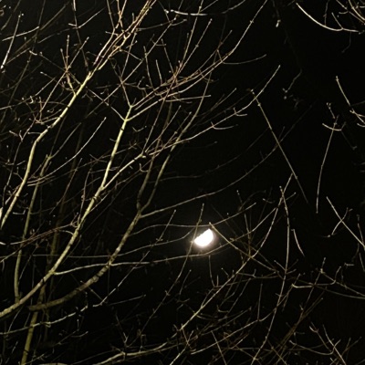 heartthrob.wav - Single