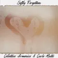 Softly Forgotten