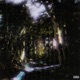 PRINT feat Minatti blt Single