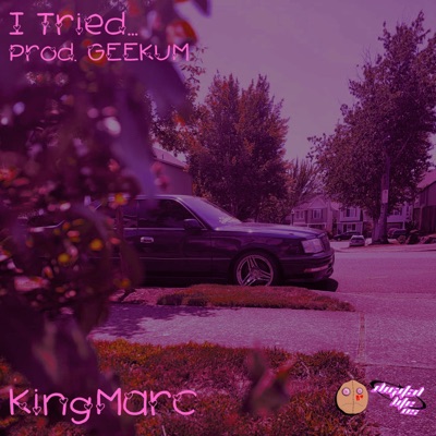 I Tried... - Single