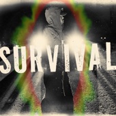 Survival artwork