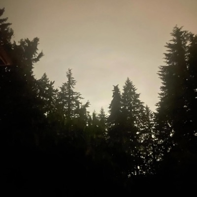 We'll Be Fine - Single