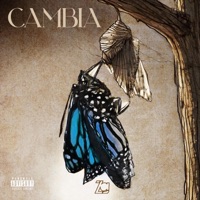 CAMBIA - La Zaga