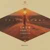 Spicy Sumac (Silvano Del Gado Remix) cover art