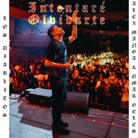 Intentaré olvidarte - Single - Los Diablitos, Alex Manga & Omar Geles