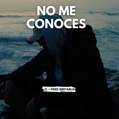 No me conoces - Single