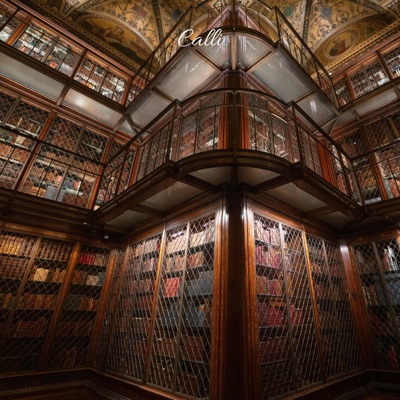 Black of Calli - Single