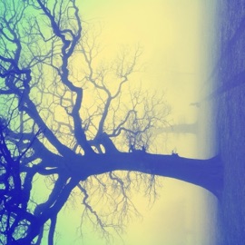 Hyper-Ominous Patrick McMillan