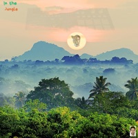 In the Jungle - Single - Kevin Janes