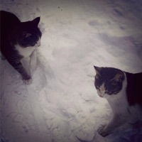 Under Her Spell (feat. Mare) - Single - Winterz