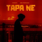 TAPA NE artwork