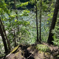 New flow - Single - DAN$kI