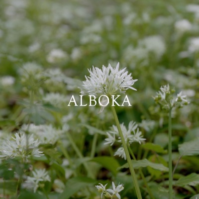 Alboka - Single