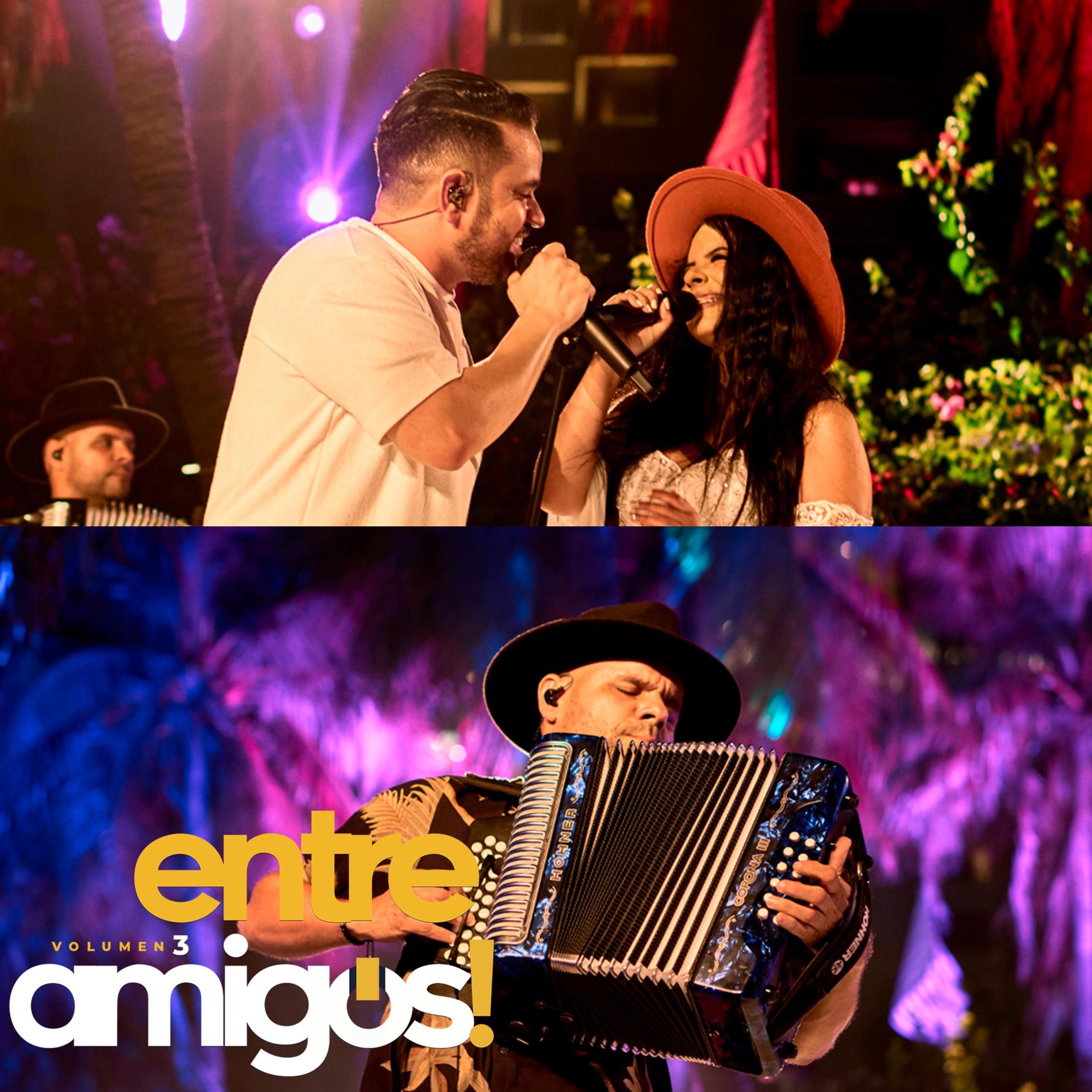 Entre Amigos Volumen 3