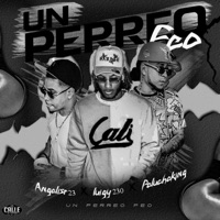 PERREO FEO (feat. @luigy230 & Malcom Produce) - Single - Peluche07 & AngelisR23