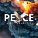 Cover art: PEACE (feat. WhoisAshé) by F'rael