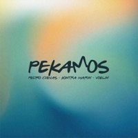 Pekamos - Single - Pedro Cuevas, Voelin & Kontra Marin
