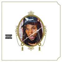 Not Gone Stop - Single - Shaiva