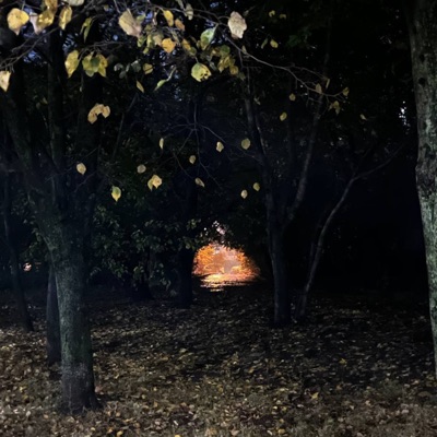 Взаперти - Single