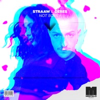 Not Sorry (Extended Mix) - Single - STRAAW & Ceres