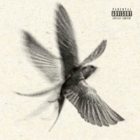 God's Watching - Single - Callix